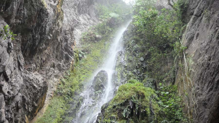 Chicaque Full-Day Trip from Bogotá - Choosing among nine marked trails