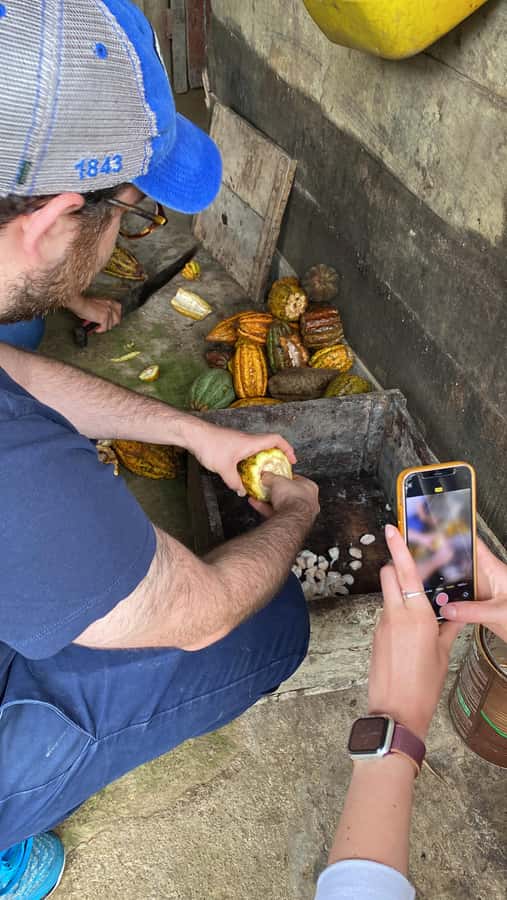 Chocolate tour near the Medellín - From Medellín to a family farm near Barbosa