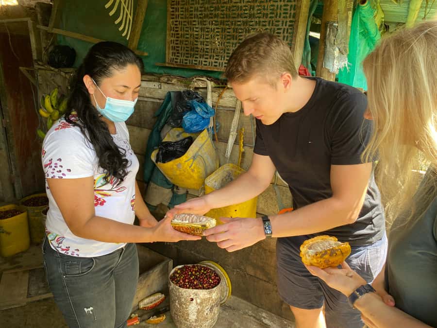 Chocolate tour near the Medellín - Following cacao from pod to paste