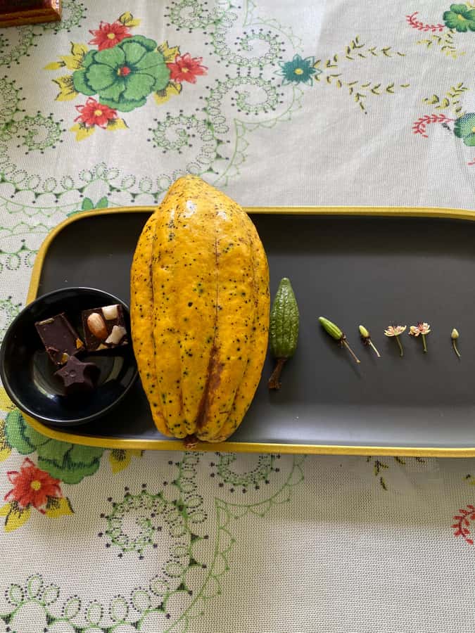 Chocolate tour near the Medellín - Tasting hot chocolate, nibs, fruit, and cocoa paste