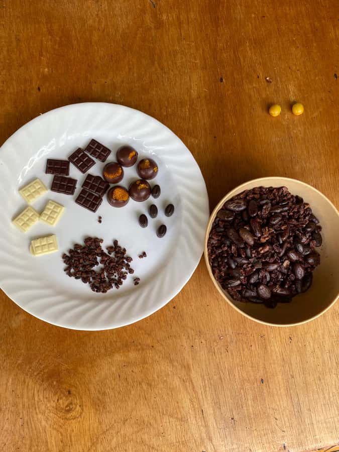 Chocolate tour near the Medellín - The guide, language, and group size