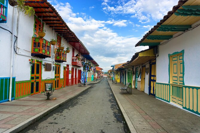 Cocora Valley and Salento Hike Tour - Walking among Colombia’s tallest palms