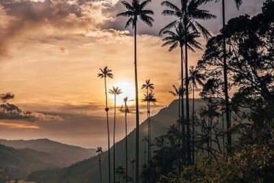 Cocora Valley and Salento Hike Tour