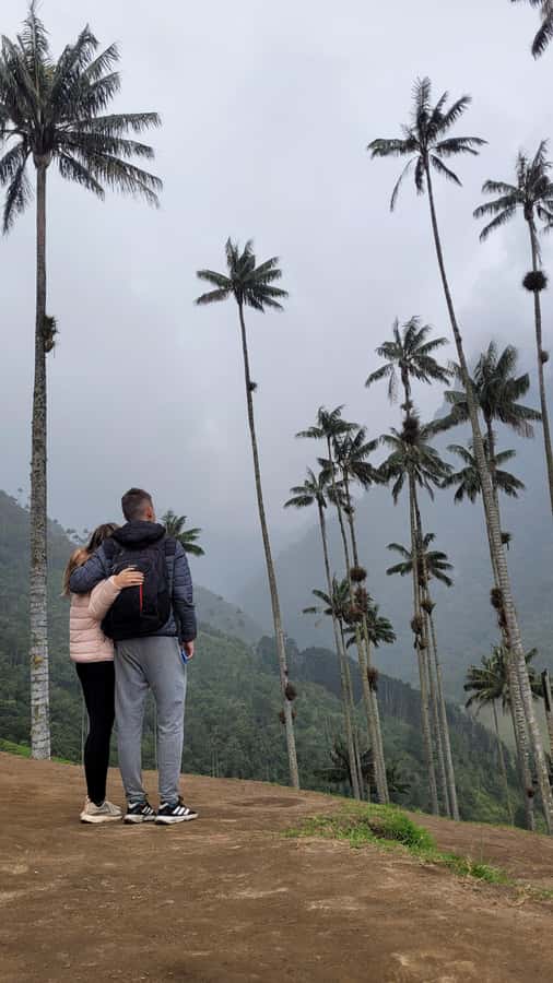 Cocora Valley: Route of the Hummingbirds + breakfast & lunch - Is $129 a fair price?