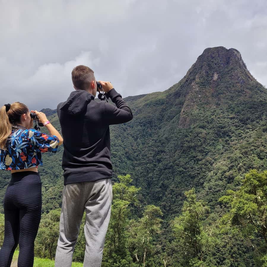 Cocora Valley: Route of the Hummingbirds + breakfast & lunch - Seven kilometers beside the river