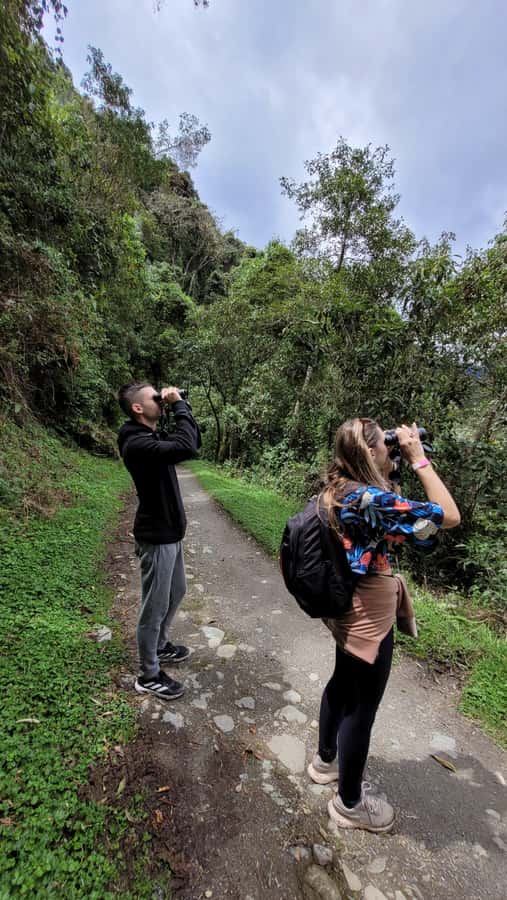 Cocora Valley: Route of the Hummingbirds + breakfast & lunch - The hummingbird house and close-up wildlife