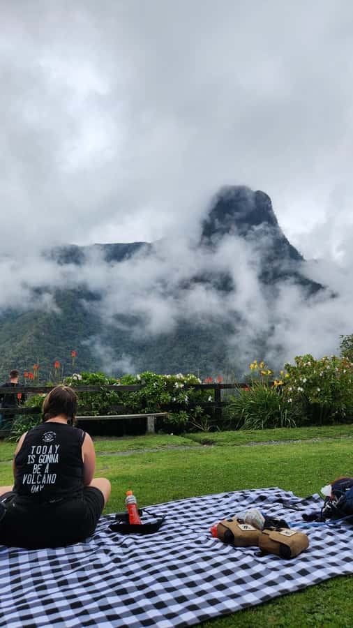 Cocora Valley: Route of the Hummingbirds + breakfast & lunch - How good is the birding?