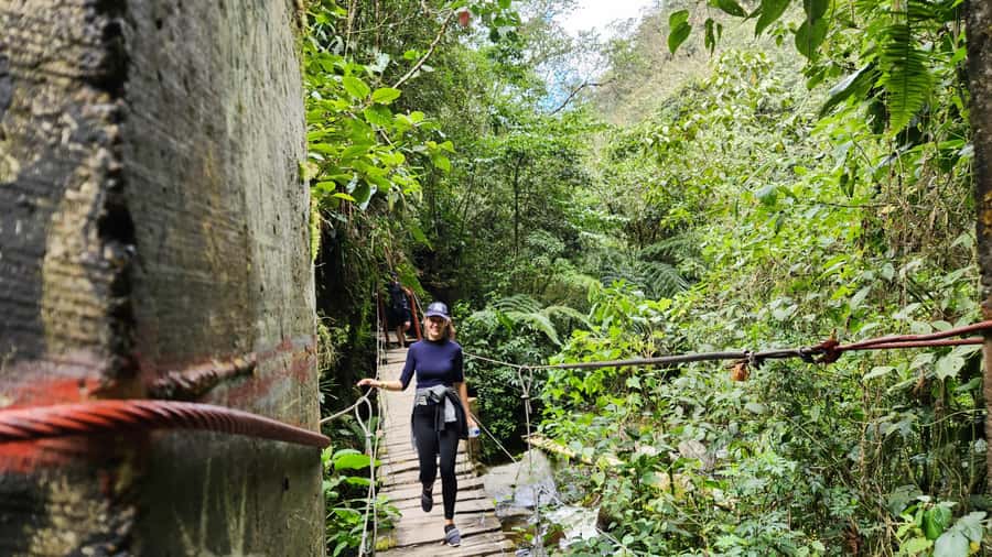 Cocora Valley: Route of the Hummingbirds + breakfast & lunch - Guide quality and group size