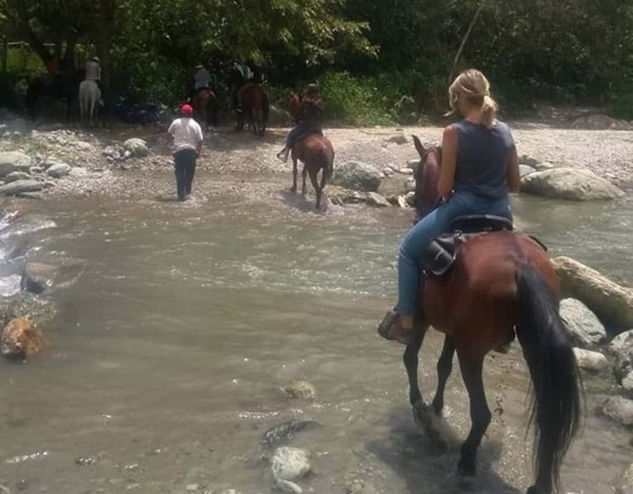 Cocora Valley: Salento & Private Horseback Riding Tour - Getting to know Salento beyond a quick photo stop
