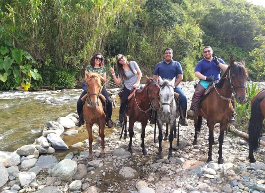 Cocora Valley: Salento & Private Horseback Riding Tour - The guides make the difference