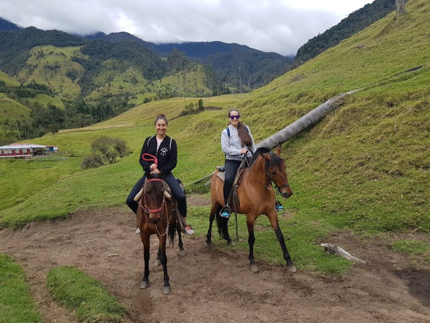 Cocora Valley: Salento & Private Horseback Riding Tour - Is $171 good value?