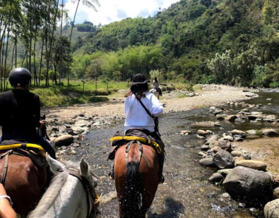 Cocora Valley: Salento & Private Horseback Riding Tour - Starting in Salento on horseback