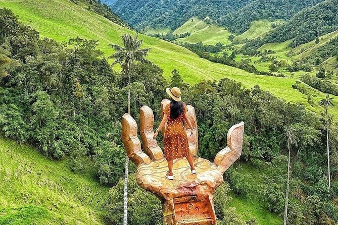 Cocora Valley Tour and Coffee Farms - Lunch with trout, patacón, and lemonade