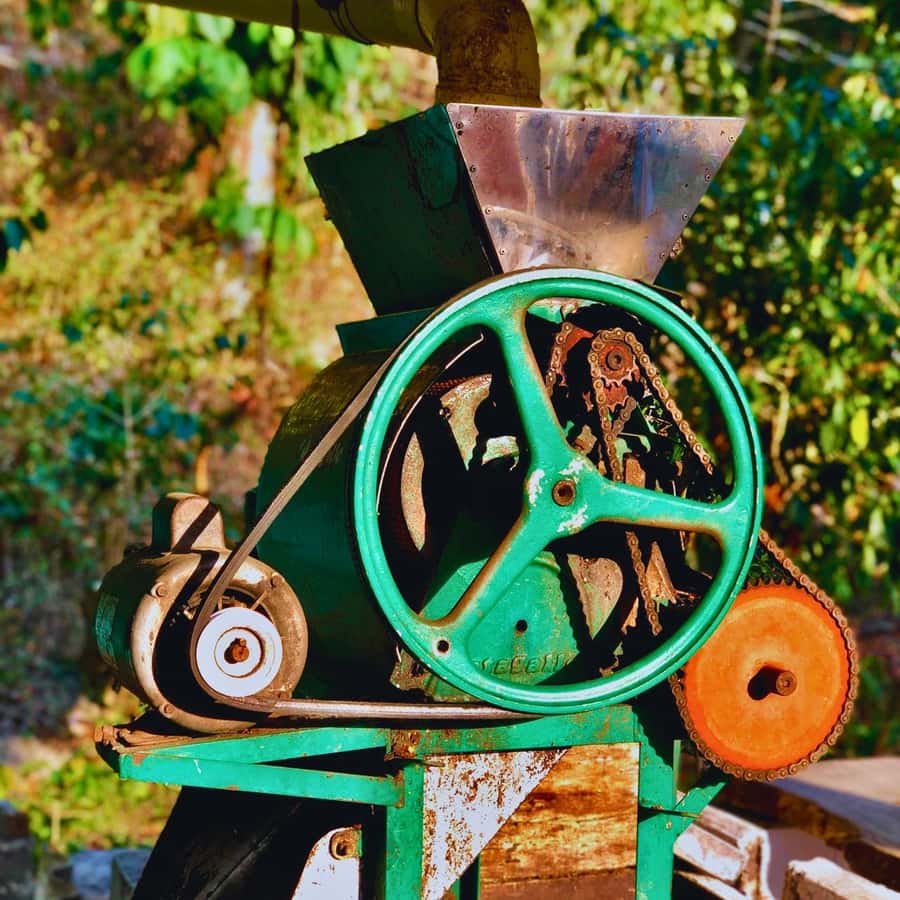 Coffee, Cocoa and Trekking Tour in Minca: Nature, Crops and Production - Practical preparation for a four-and-a-half-hour hike