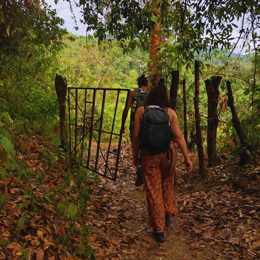 Coffee, Cocoa and Trekking Tour in Minca: Nature, Crops and Production - Why this Minca farm tour feels different