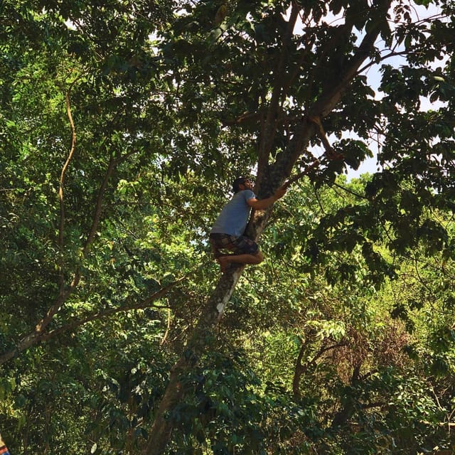 Coffee, Cocoa and Trekking Tour in Minca: Nature, Crops and Production - Tasting coffee and handmade cocoa