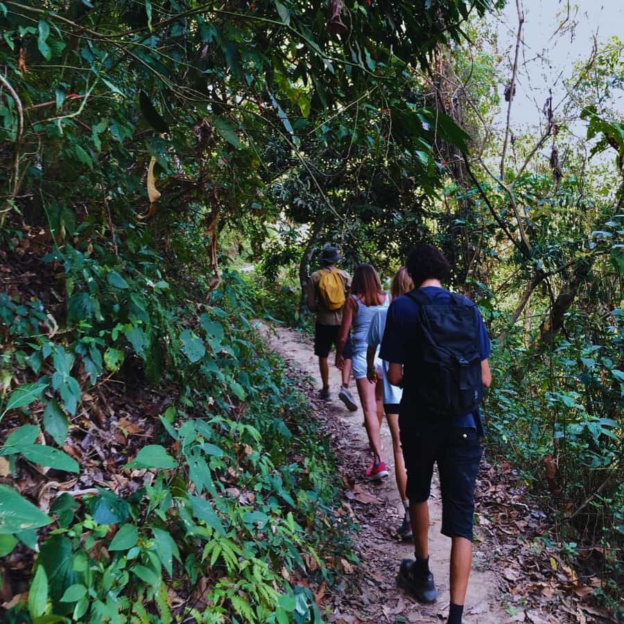 Coffee, Cocoa and Trekking Tour in Minca: Nature, Crops and Production - What the guides add