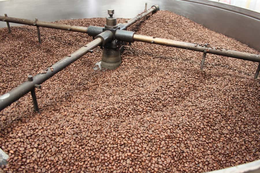 Coffee Experience: Hacienda Coloma Tour from Bogotá - The tasting: coffee with a point to prove