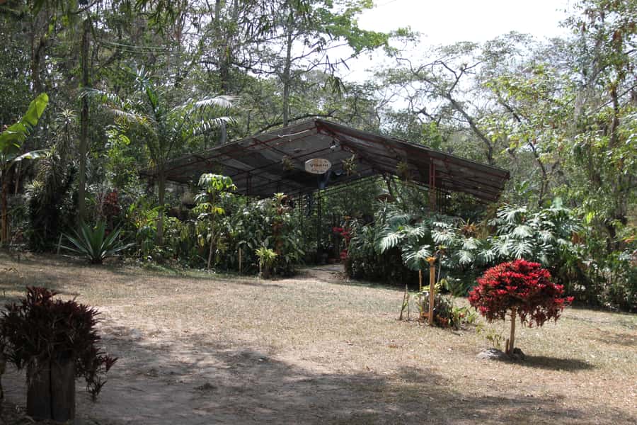 Coffee Experience: Hacienda Coloma Tour from Bogotá - San Miguel views and nursery gardens