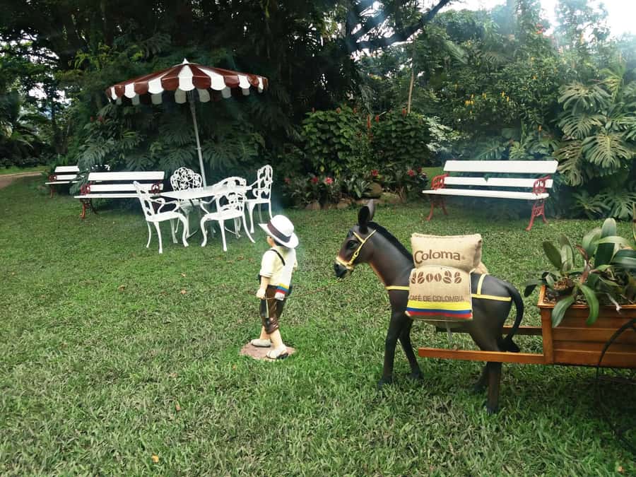 Coffee Experience: Hacienda Coloma Tour from Bogotá - Hacienda Coloma, where coffee work becomes visible
