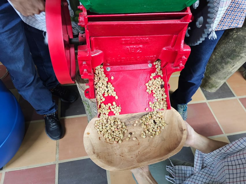 Coffee Experience with roasting show in Comuna 13 - The guide can make the difference