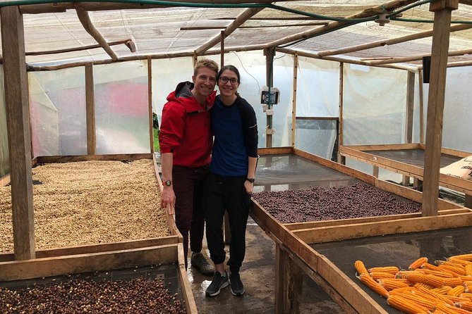 Coffee Farm and Salento Walking Tour - The people who shape the day