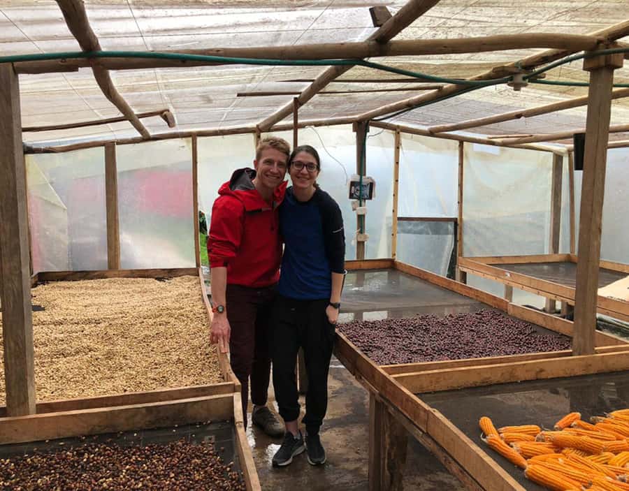 Coffee Farm and Salento Walking Tour - Private transport and group size