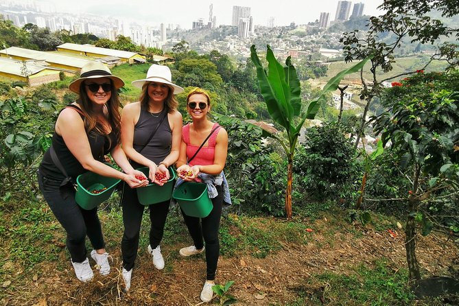 Coffee Farm & ATVs Private Tour in Medellin: Stunning Views & Fun - The long road from Guarne to the coffee farm