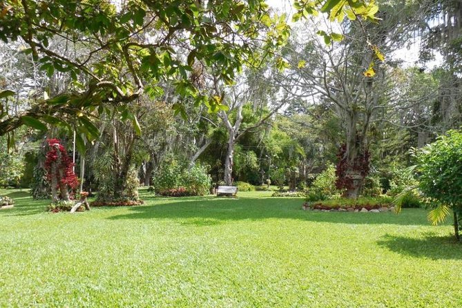 Coffee Farm Experience Private Day Tour - Choosing lunch and tasting Colombian food