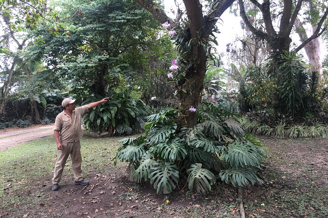 Coffee Farm Experience Private Day Tour - Why the private format matters