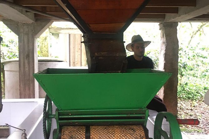 Coffee Farm Experience Private Day Tour - Who should book this coffee farm day
