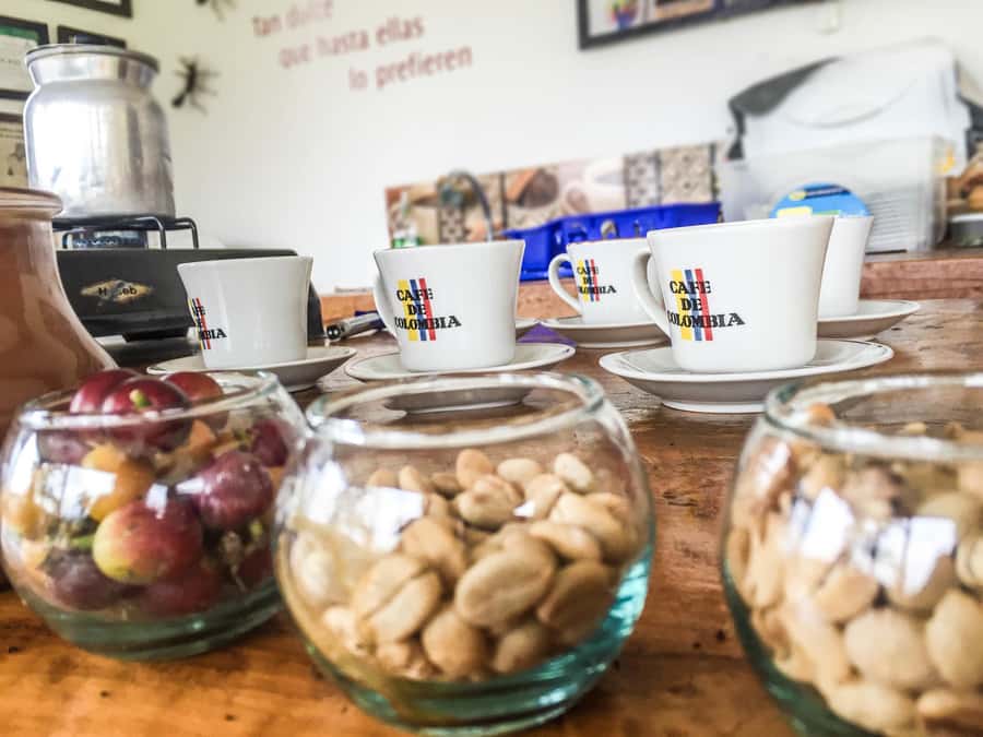 Coffee Farm Tour at Finca El Ocaso from Salento - From hand-picked beans to roasted coffee
