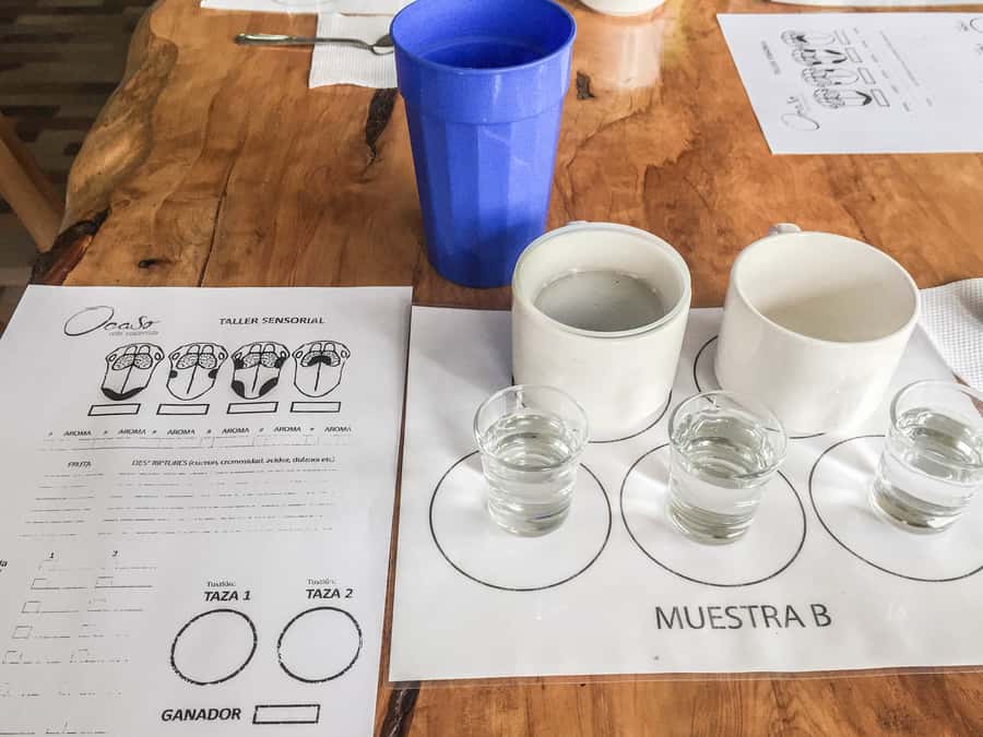 Coffee Farm Tour at Finca El Ocaso from Salento - The coffee tasting at the end