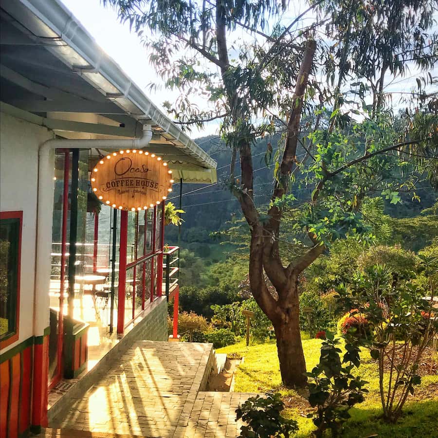 Coffee Farm Tour at Finca El Ocaso from Salento - What the $93 price really covers