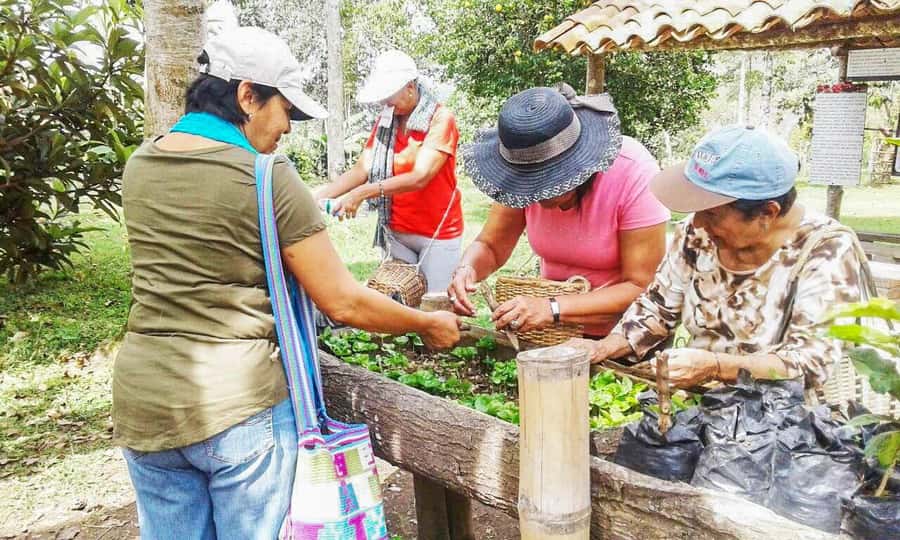 Coffee Farm Tour at Finca El Ocaso from Salento - Who will enjoy this farm visit most