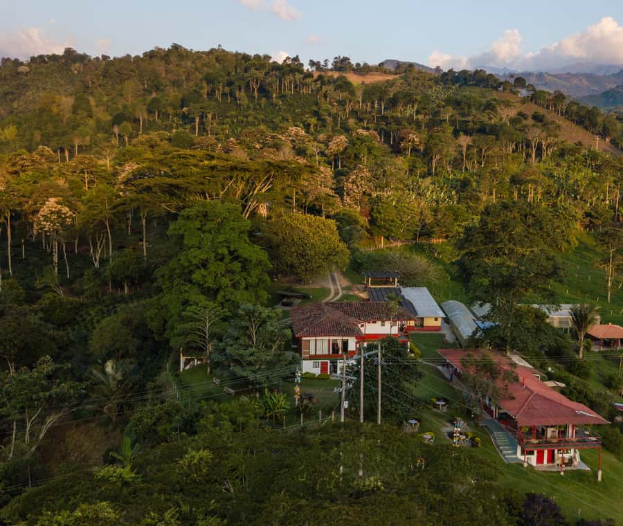 Coffee Farm Tour at Finca El Ocaso from Salento - Practical advice before you go