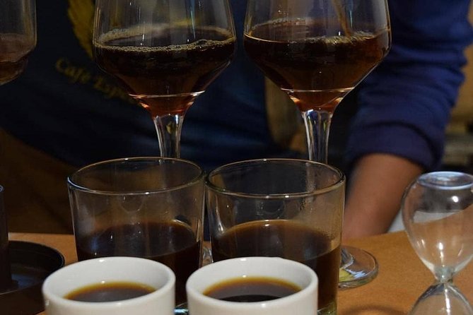 Coffee tasting experience at Divino Café Especial - The sensory exercise makes beginners feel at home