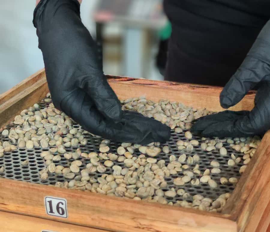 Coffee Tasting Experience in Cali - My verdict: book it for the personal touch