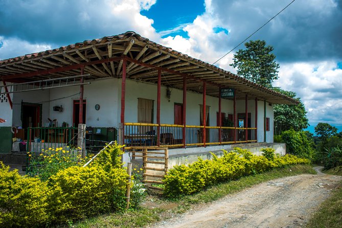 Coffee Tour. - Coffee-time is the tasting heart of the visit