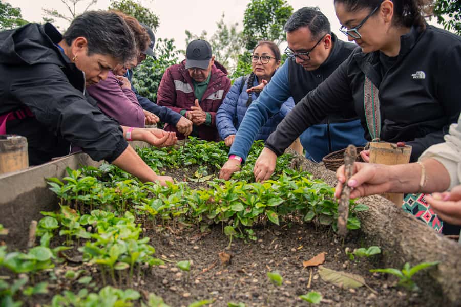 Coffee Tour at Finca El Ocaso Salento: Traditional Spanish Farm - Key points to know before you go