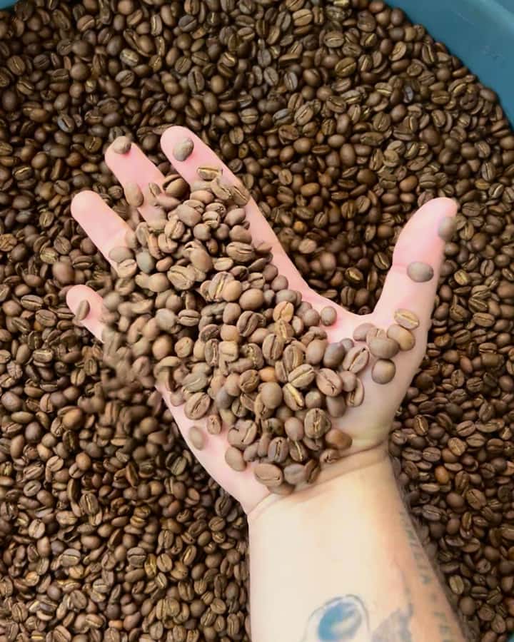 Coffee Tour at Finca El Ocaso Salento: Traditional Spanish Farm - Arriving at a rural coffee farm near Salento