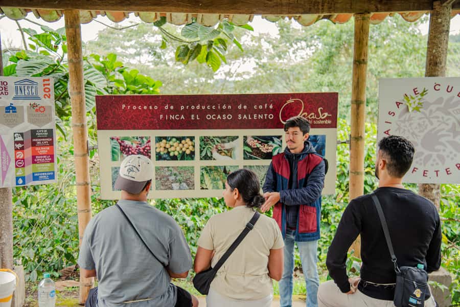 Coffee Tour at Finca El Ocaso Salento: Traditional Spanish Farm - The cloth strainer tasting at the end