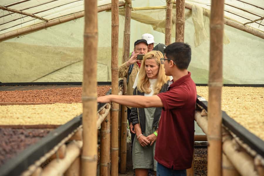 Coffee Tour at Finca El Ocaso Salento: Traditional Spanish Farm - What the $19 price really covers