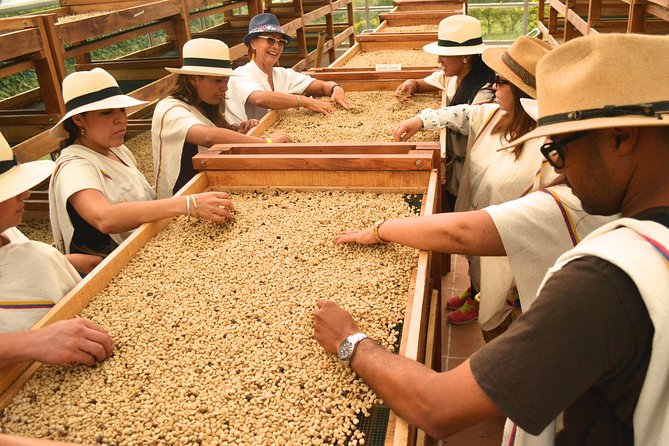 Coffee Tour at the Finca del Café - Starting at Finca del Café near Pereira