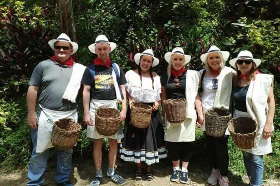 Coffee Tour from Medellin with Lunch and Coffee Tasting - The steep path to the coffee plants