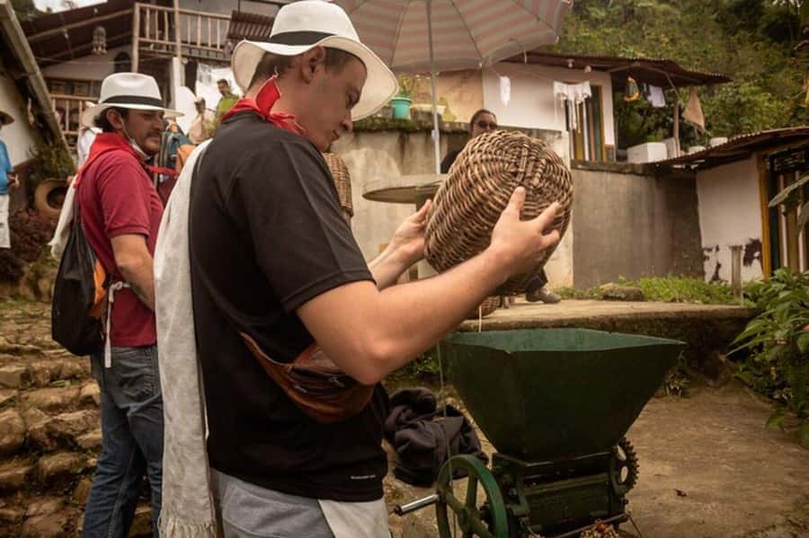 Coffee Tour from Medellin with Lunch and Coffee Tasting - Following the bean from plant to cup