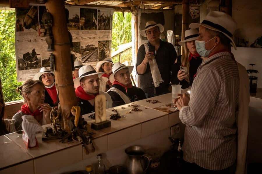 Coffee Tour from Medellin with Lunch and Coffee Tasting - How the six-hour schedule works