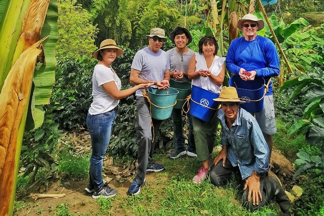 Coffee Tour in the Beautiful Jardin Town: Adventure in the Andes - Picking coffee at the farm