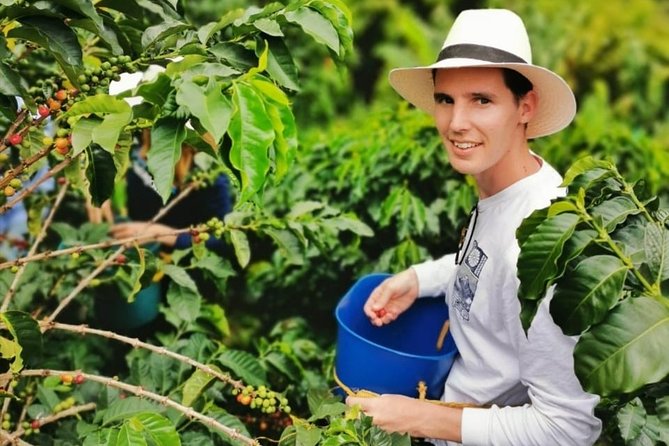 Coffee Tour in the Beautiful Jardin Town: Adventure in the Andes - Arriving in Jardin after the farm