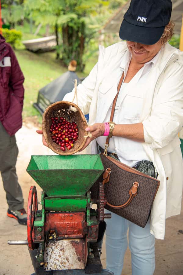 Coffee Tour Salento-Ocaso Farm- English Tour - Picking Coffee Cherries in the Plantation